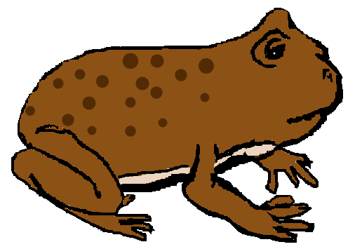 Sapo com o paint online